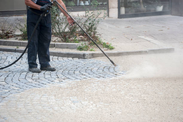 Best Spring Cleaning  in Citrus Park, FL