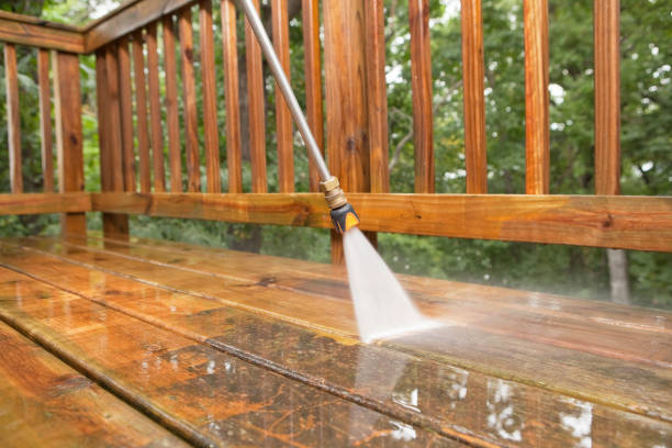 Best Pool Deck Cleaning  in Citrus Park, FL