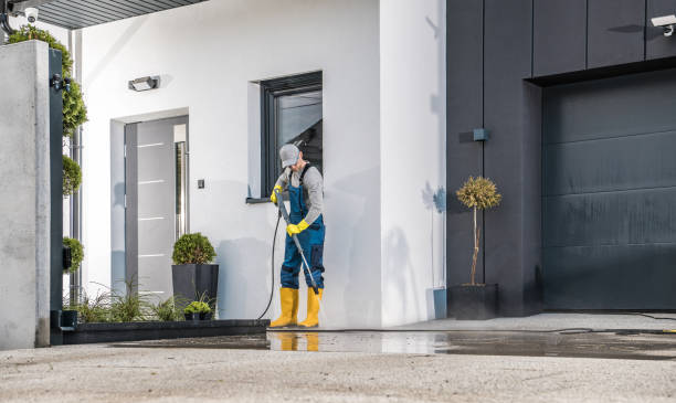 Best Rust Removal  in Citrus Park, FL