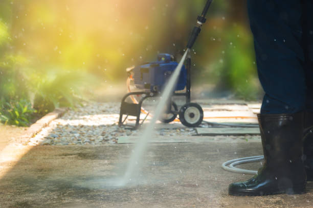 Best Animal Enclosure Cleaning  in Citrus Park, FL